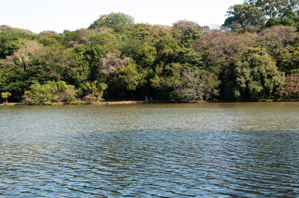 Parque do Ingá, Maringá, Paraná